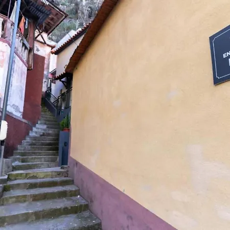 Casa Fernandes By Mth